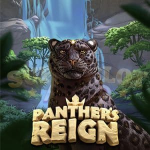 สล็อต Panther’s Reign