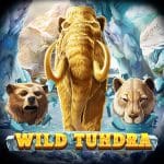 สล็อต Wild Tundra