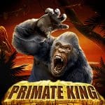 สล็อต Primate King